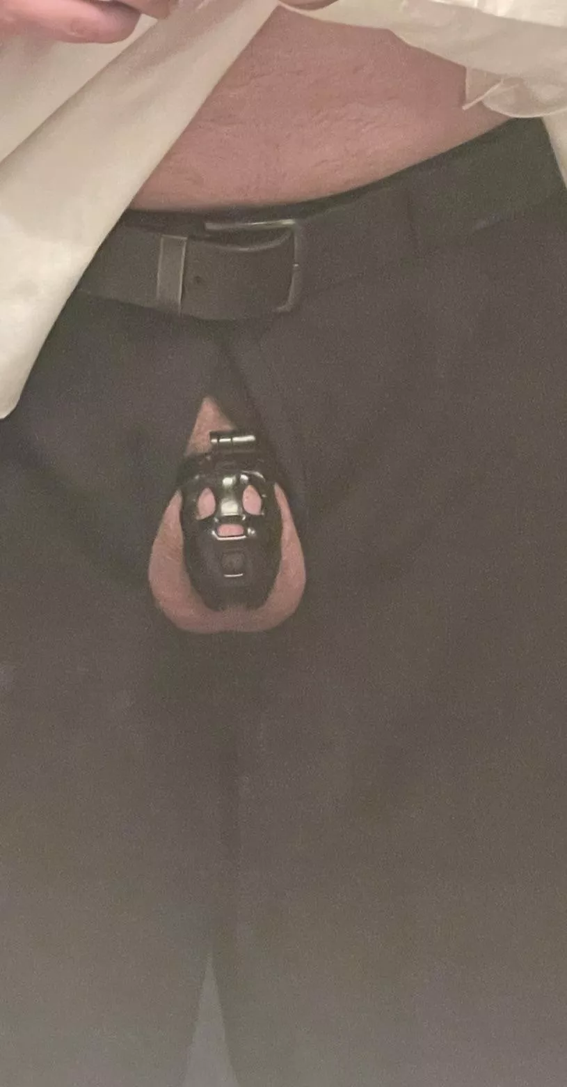 When you call for a cage check my Subby knows what to do. Day 18