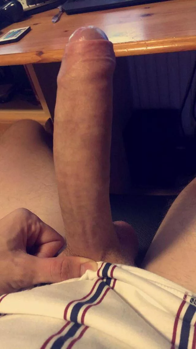 Who’s looking for a bull??