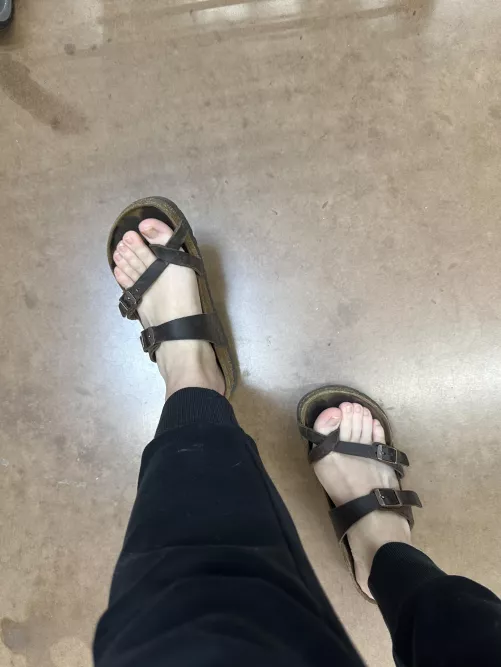 Why don't you start licking my foot instead of staring