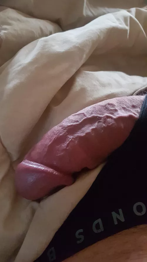 Would you put this in your cunt?(56).