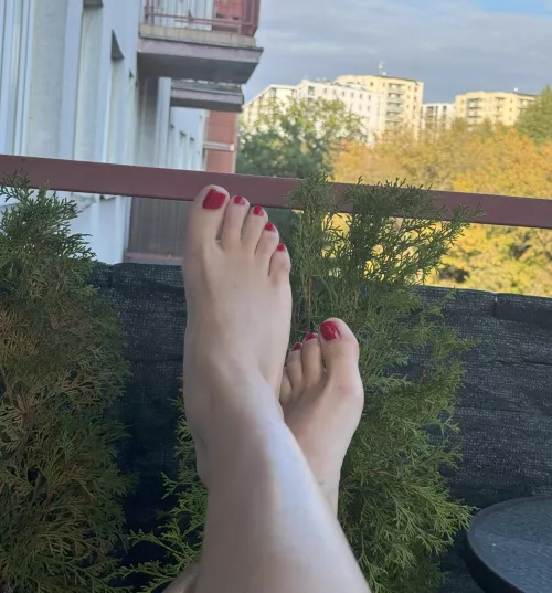 You obviously like my feet