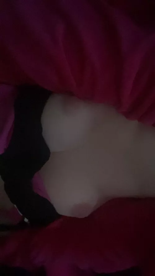 you sucking or fucking first?