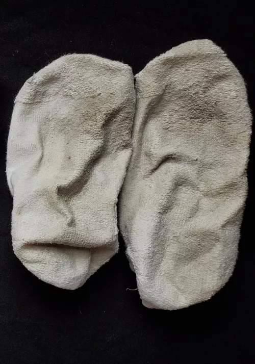 2 week workout socks completely sweat stained and crusty with my scent