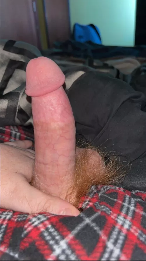 28 [M] Bisexual - Seeking to Give Pleasure