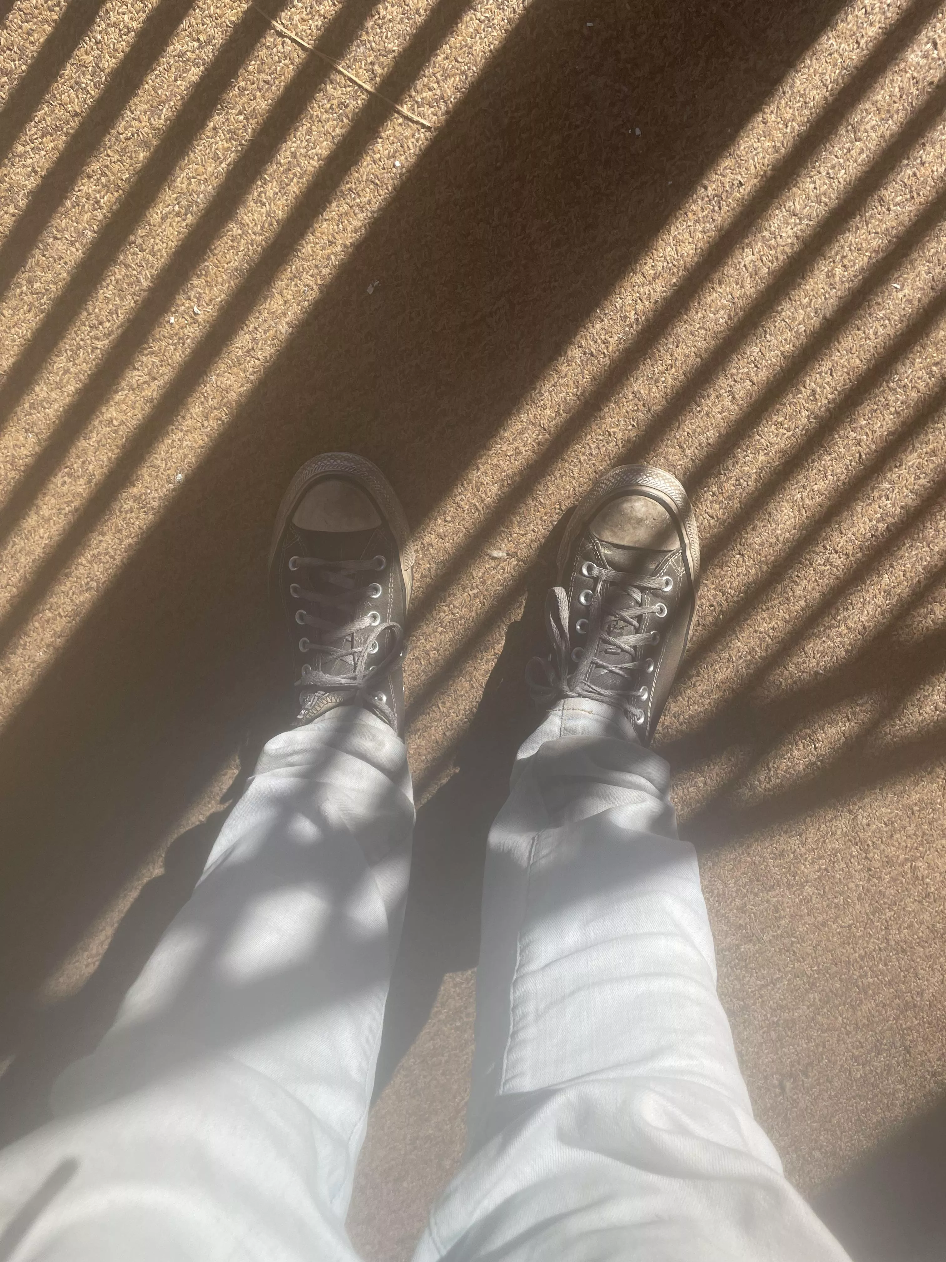 40m hosting in deadwood