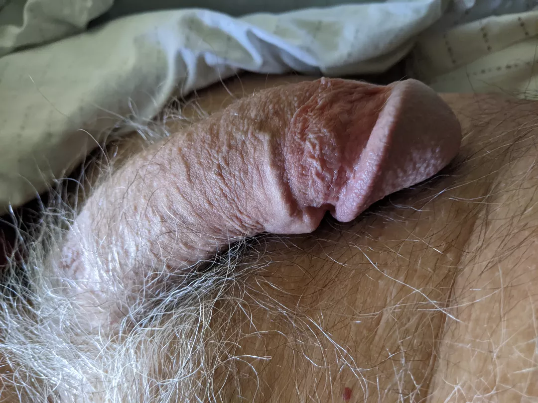 [63] Who wants to play?