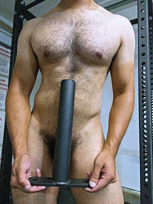 A [wpc] rod to hold things, hiding a rod in need of holding