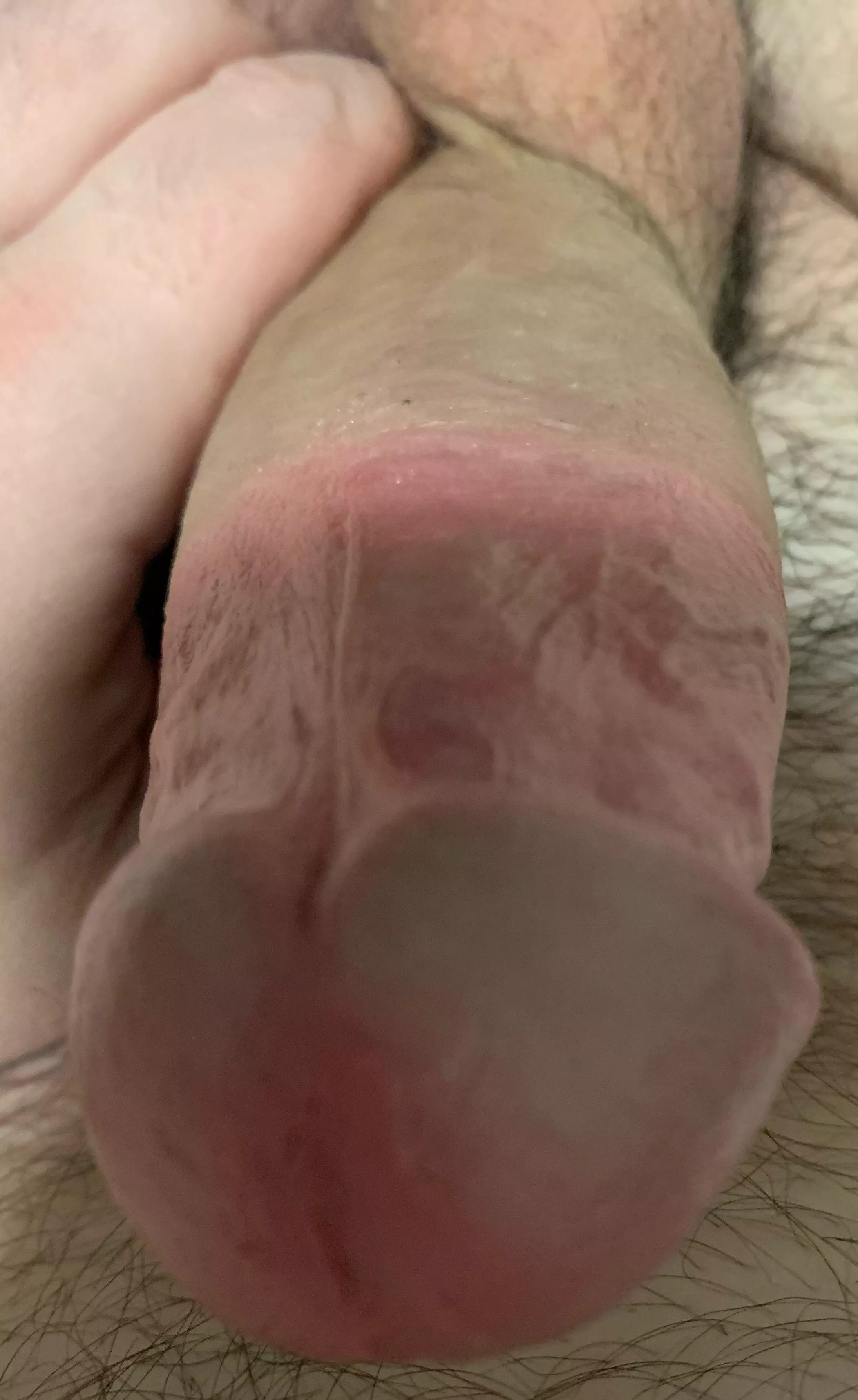 Any dads with boys wanna chat? I’ll be bestest fun guncle babysitter😈… my tel eguard and sess ion is on my profile 