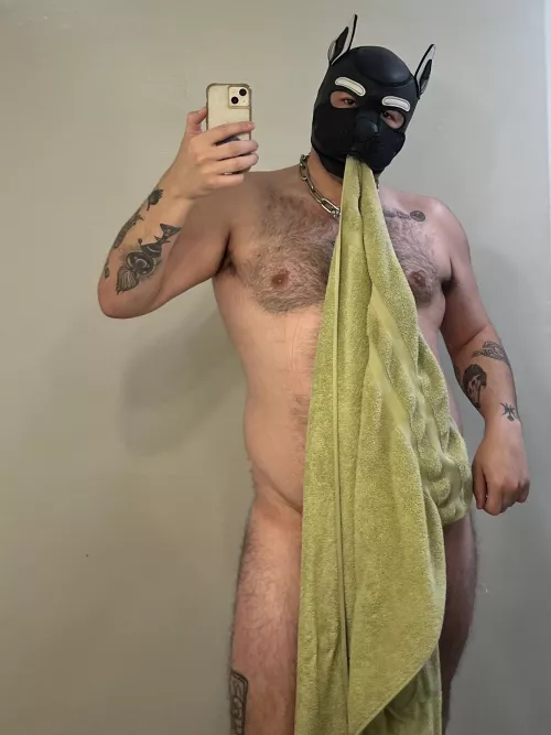 Bath time for Domino 