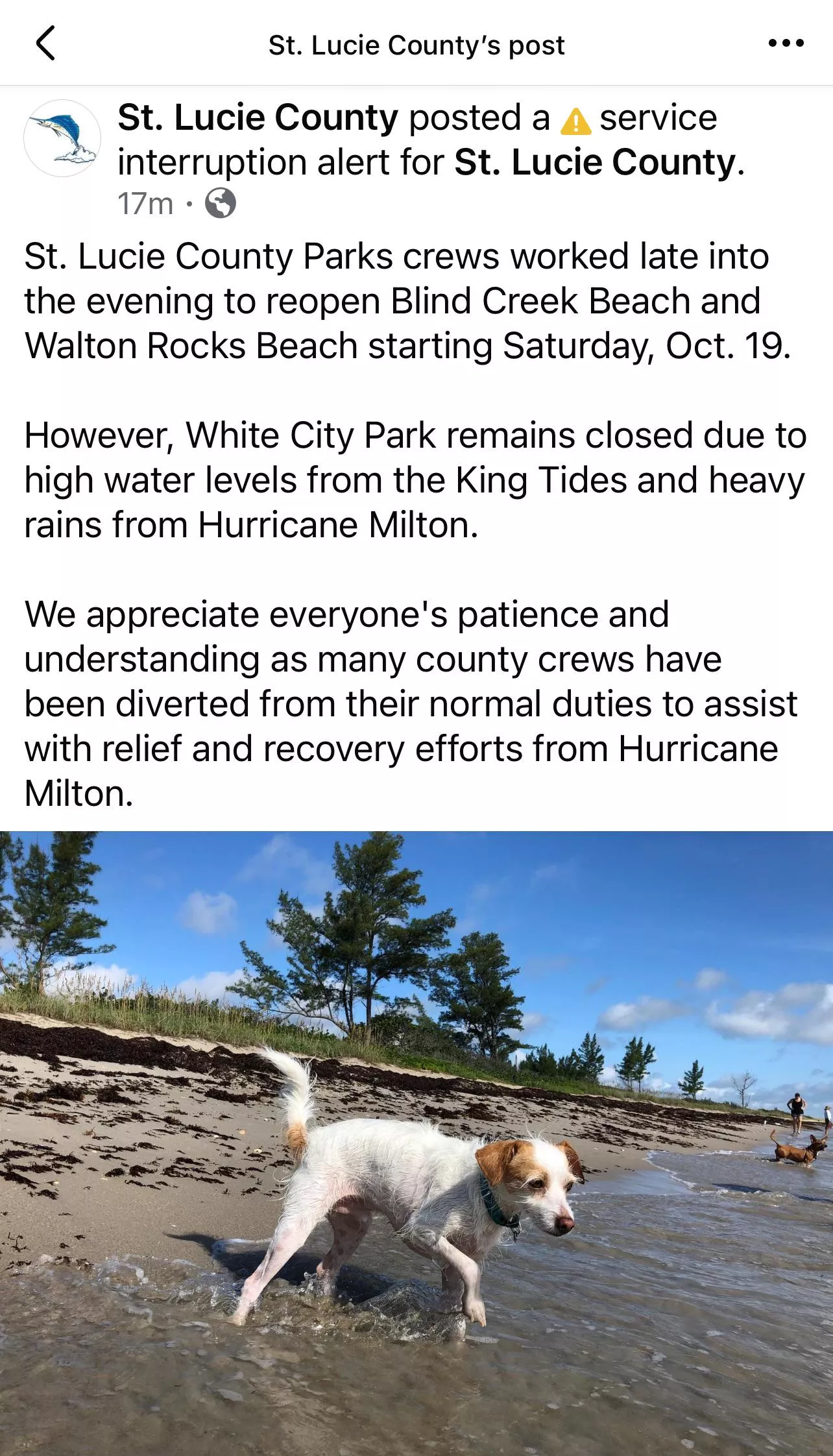 Blind Creek Opening Saturday 10/19