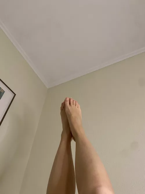 Can you give them a good lick [oc]