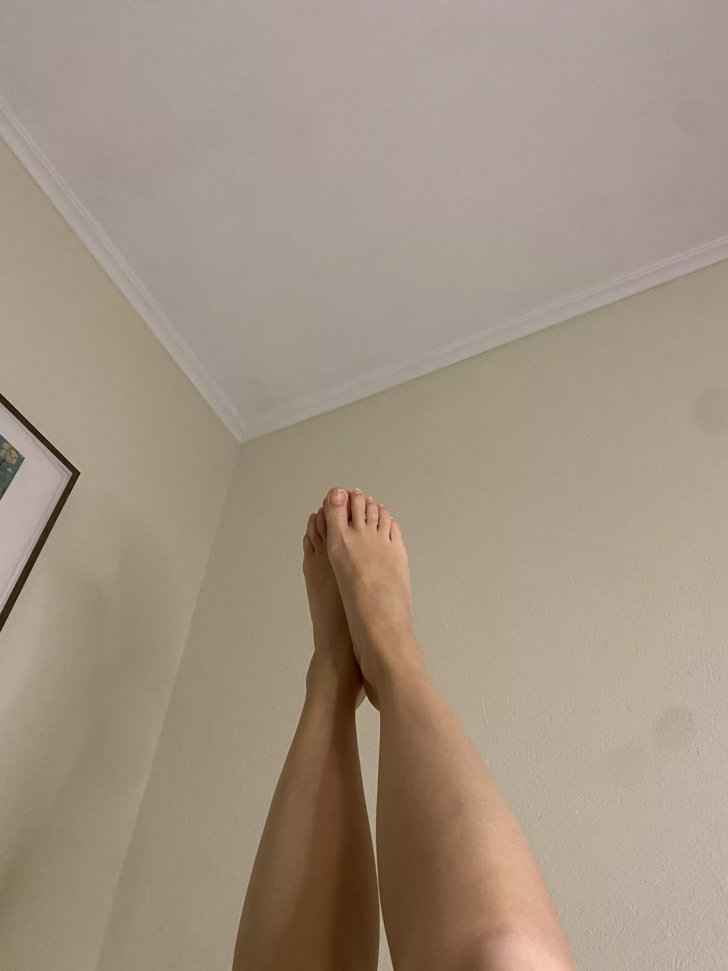 Can you give them a good lick [oc]