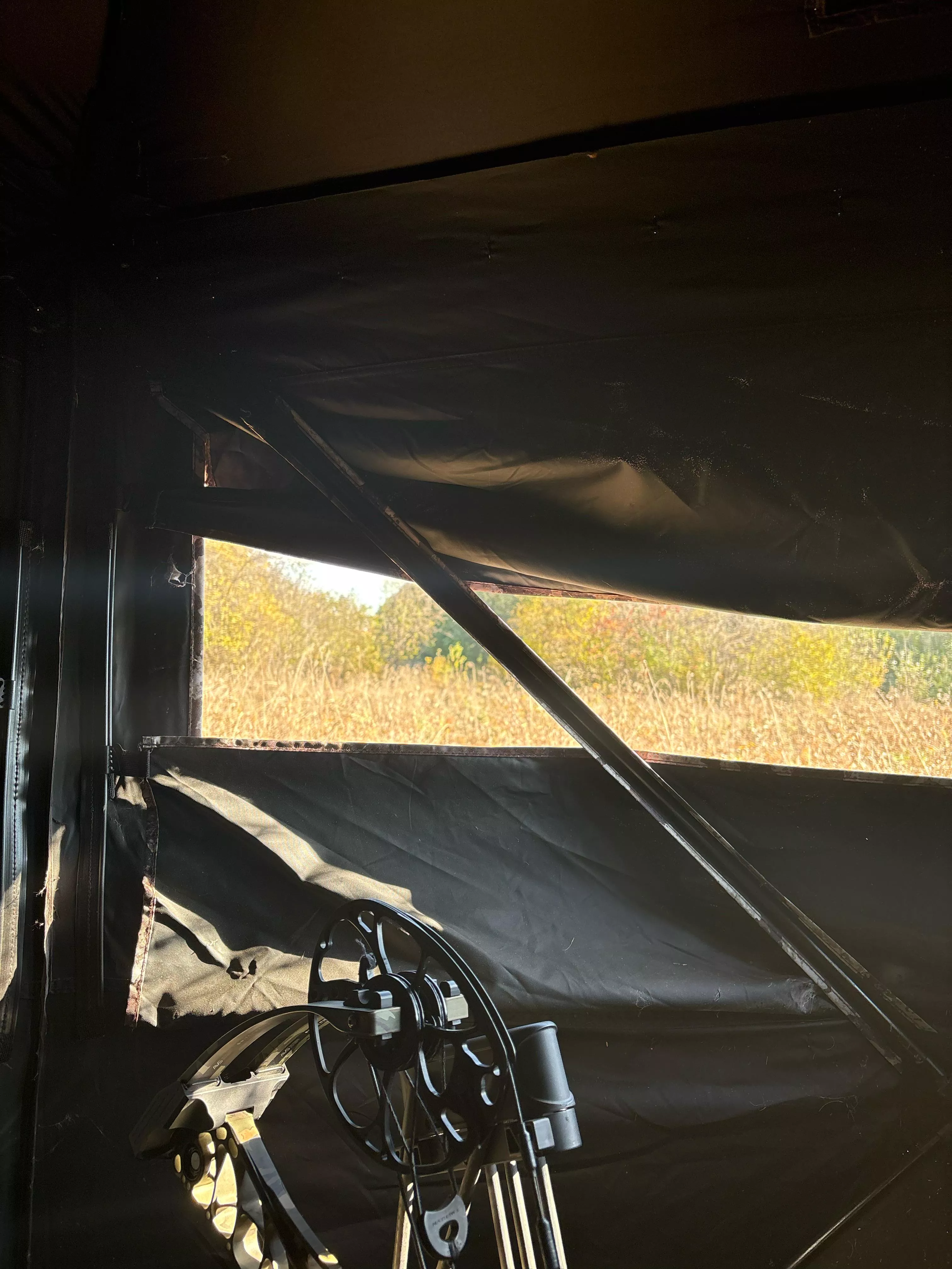 Cum jerk me off while I wait for a deer.