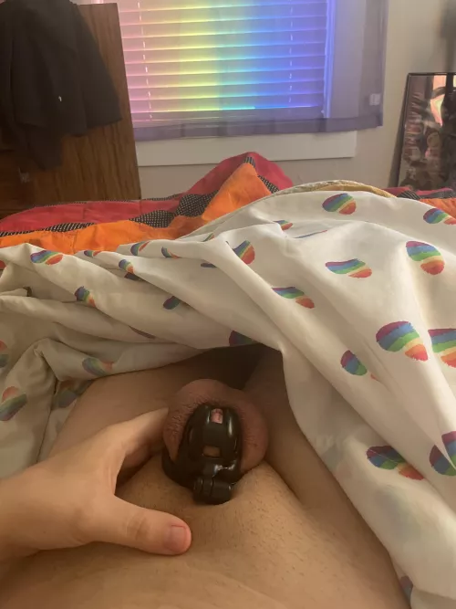 [day 40] good morning from my bed :)