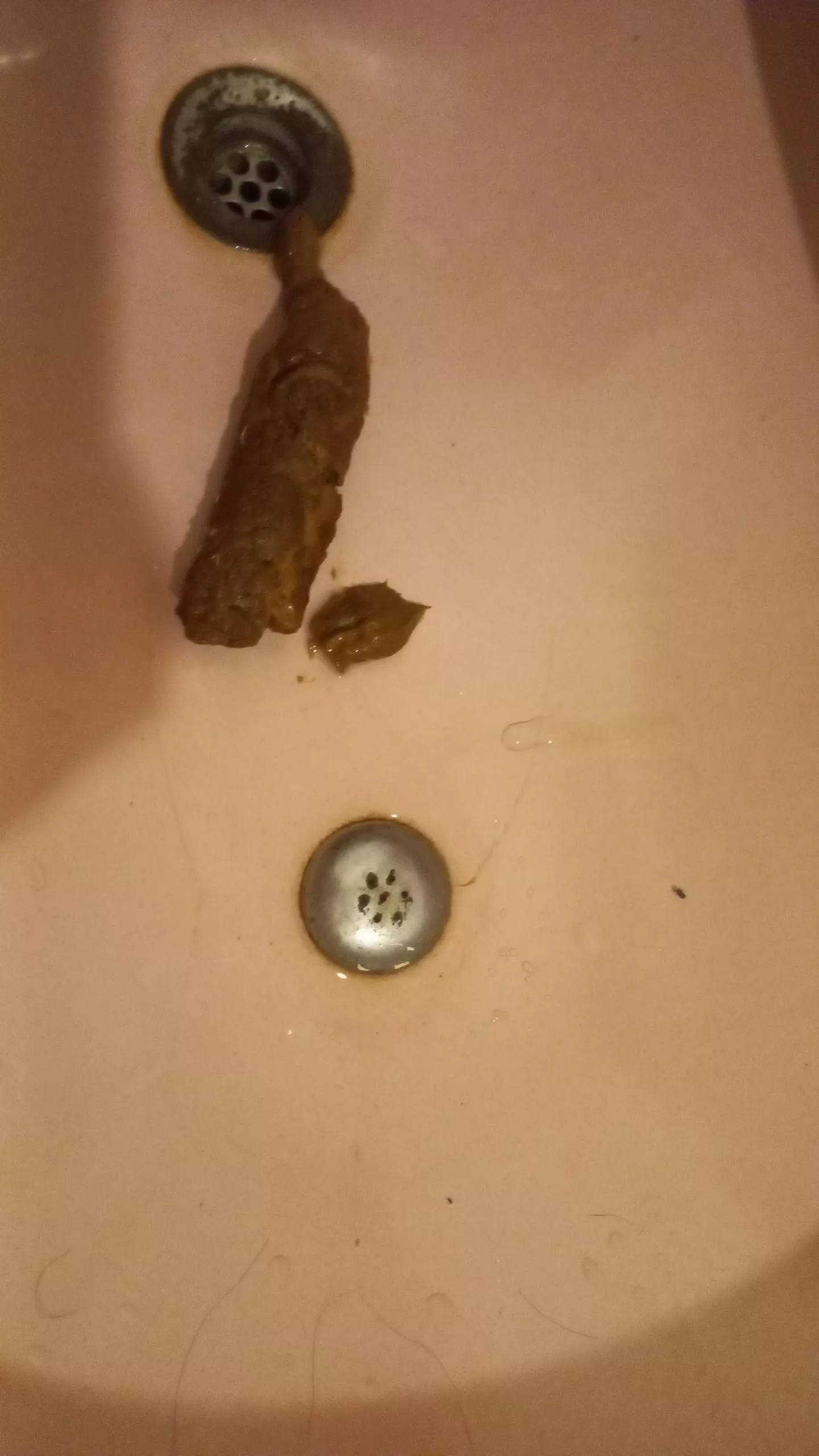 depraved slut drops a log