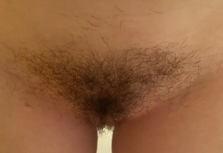 freshly showered bush 🙈