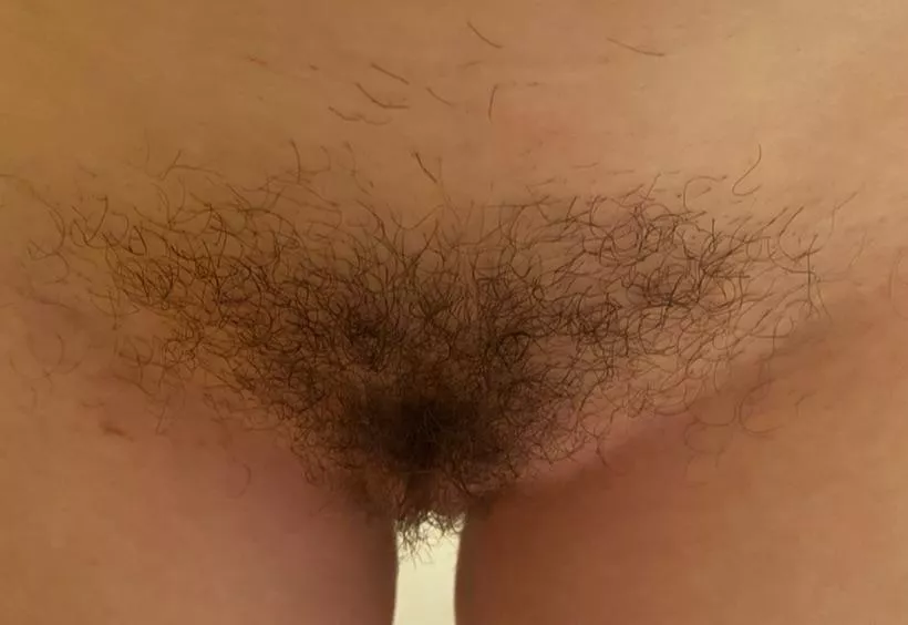 freshly showered bush 🙈