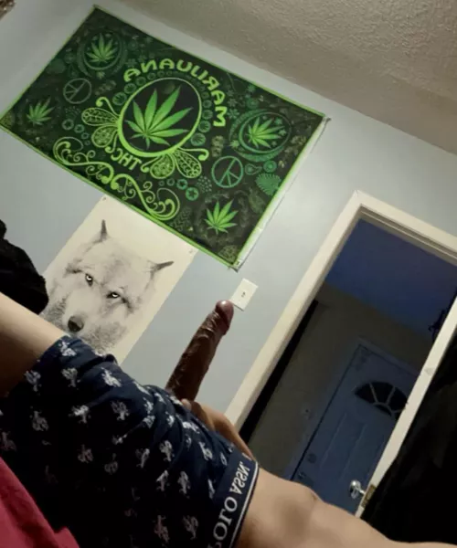 Good morning! The wood is up peaking through the ginch lol 