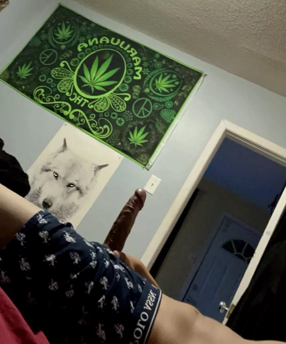 Good morning! The wood is up peaking through the ginch lol 