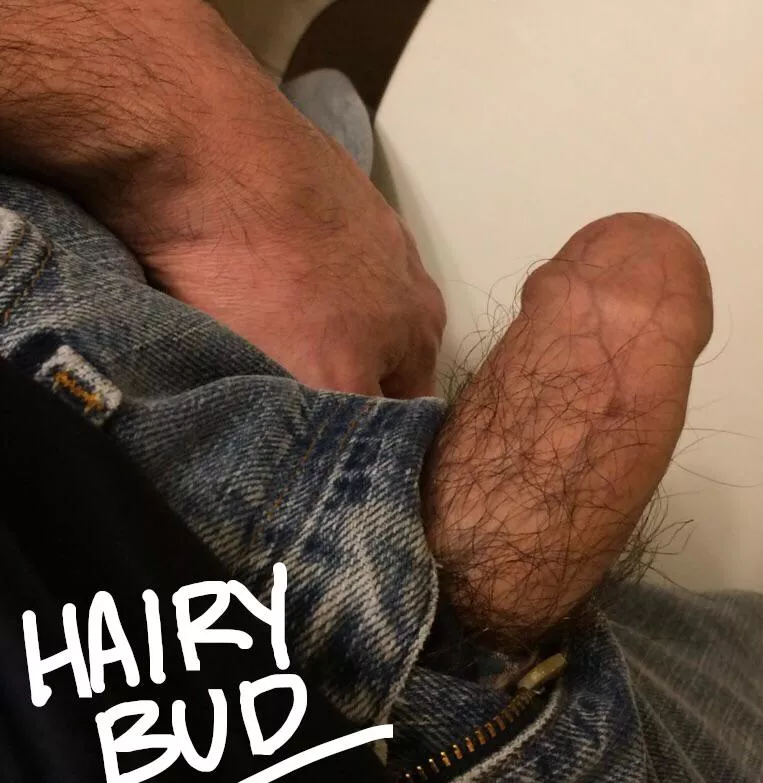 Hairy bud