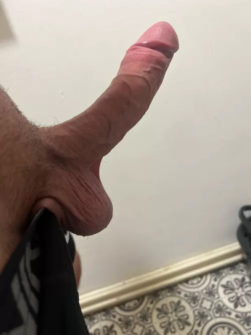 horny 