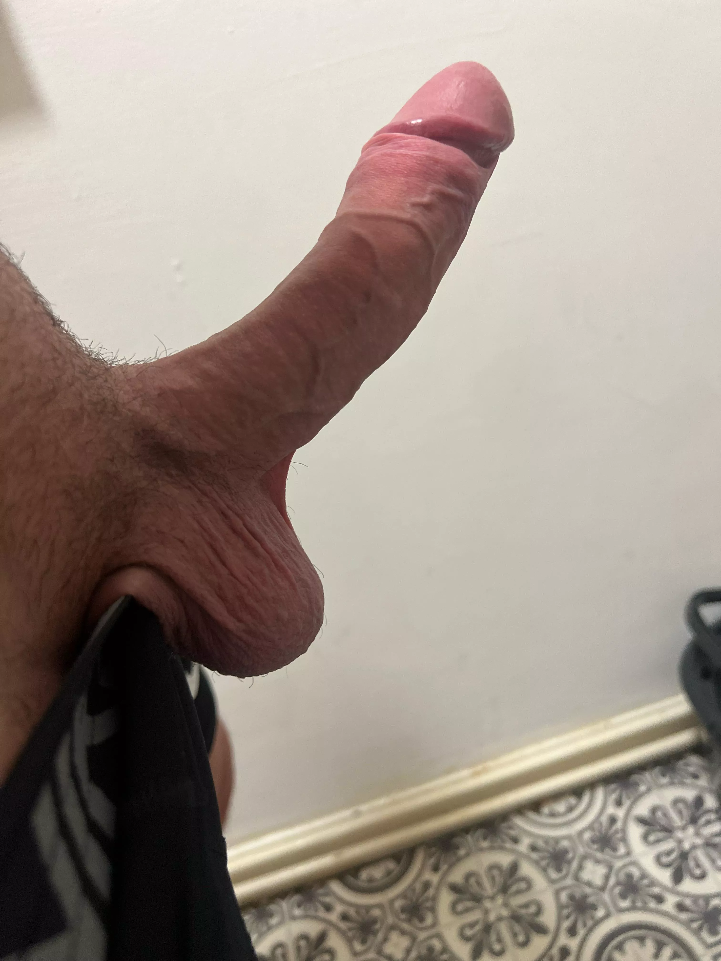 horny 