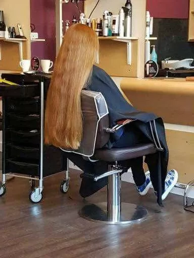 How it would be like to be able to be a fly on the wall of a salon all day long