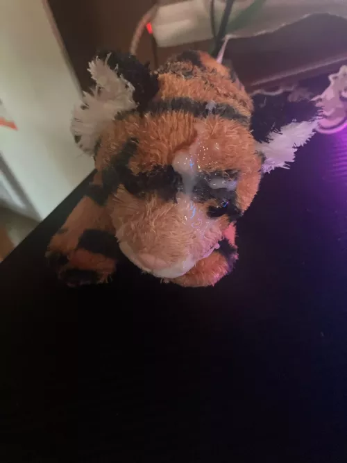 I had fun with my tiger plush