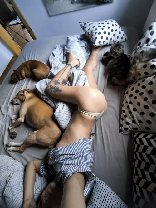 I never sleep alone 😅