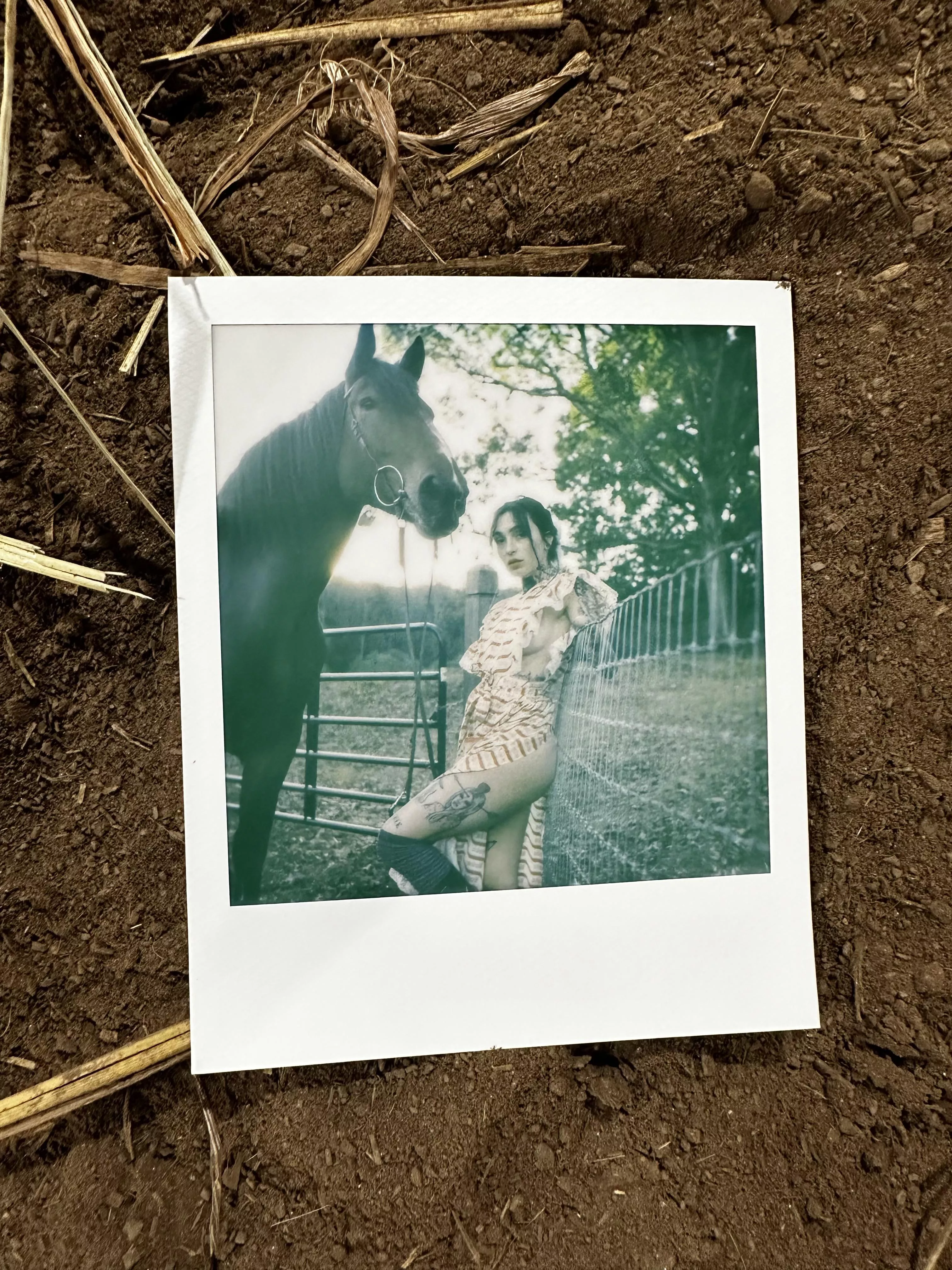 I'm looking for a dommy male OF creator to collab with. Send face and torso pics 😘