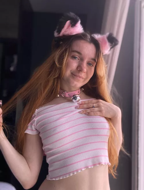 I'm trying to be a wild cat but I'm still a cute kitty at heart