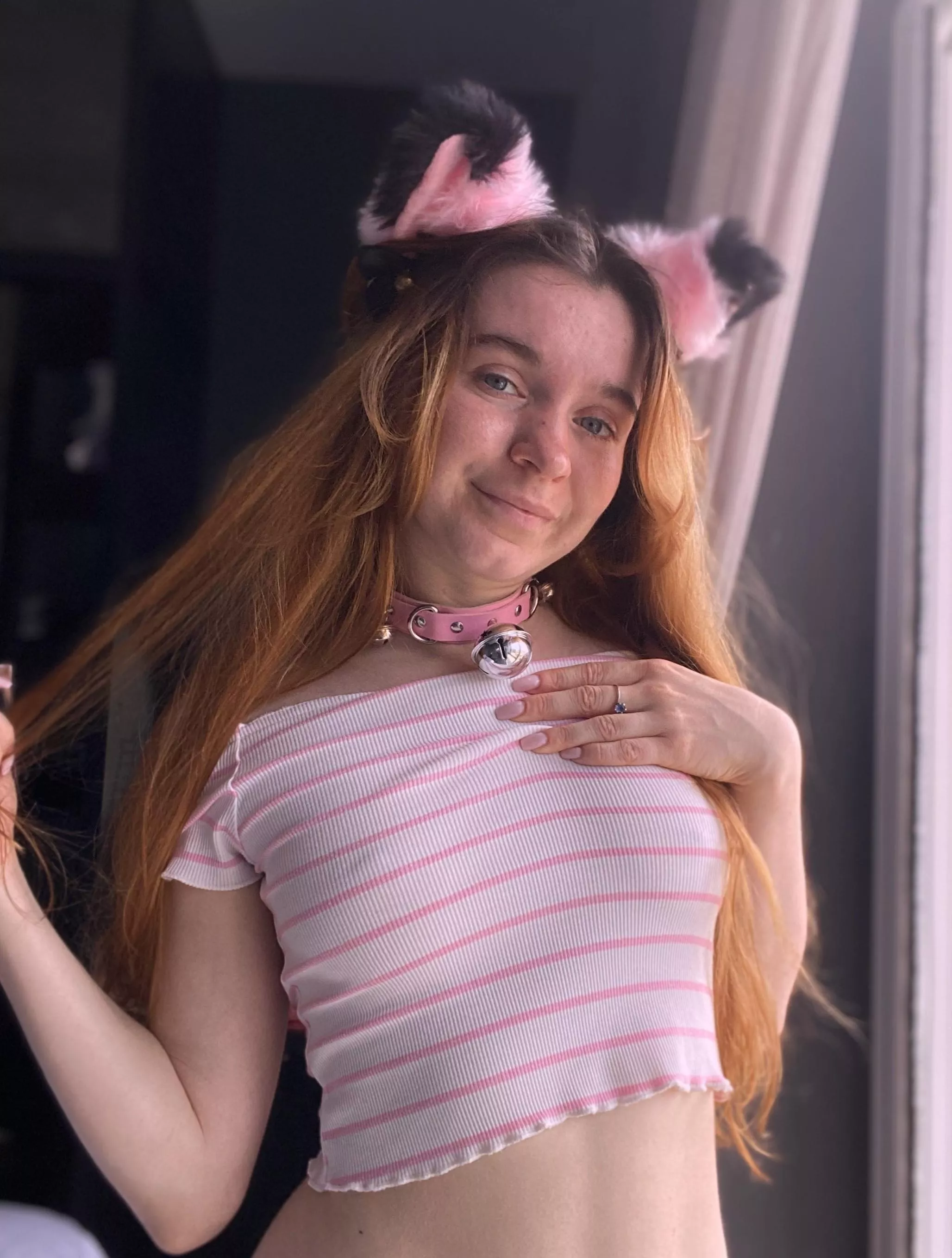 I'm trying to be a wild cat but I'm still a cute kitty at heart