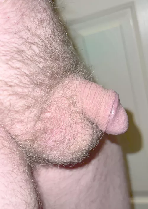 It’s not much but it’s mine