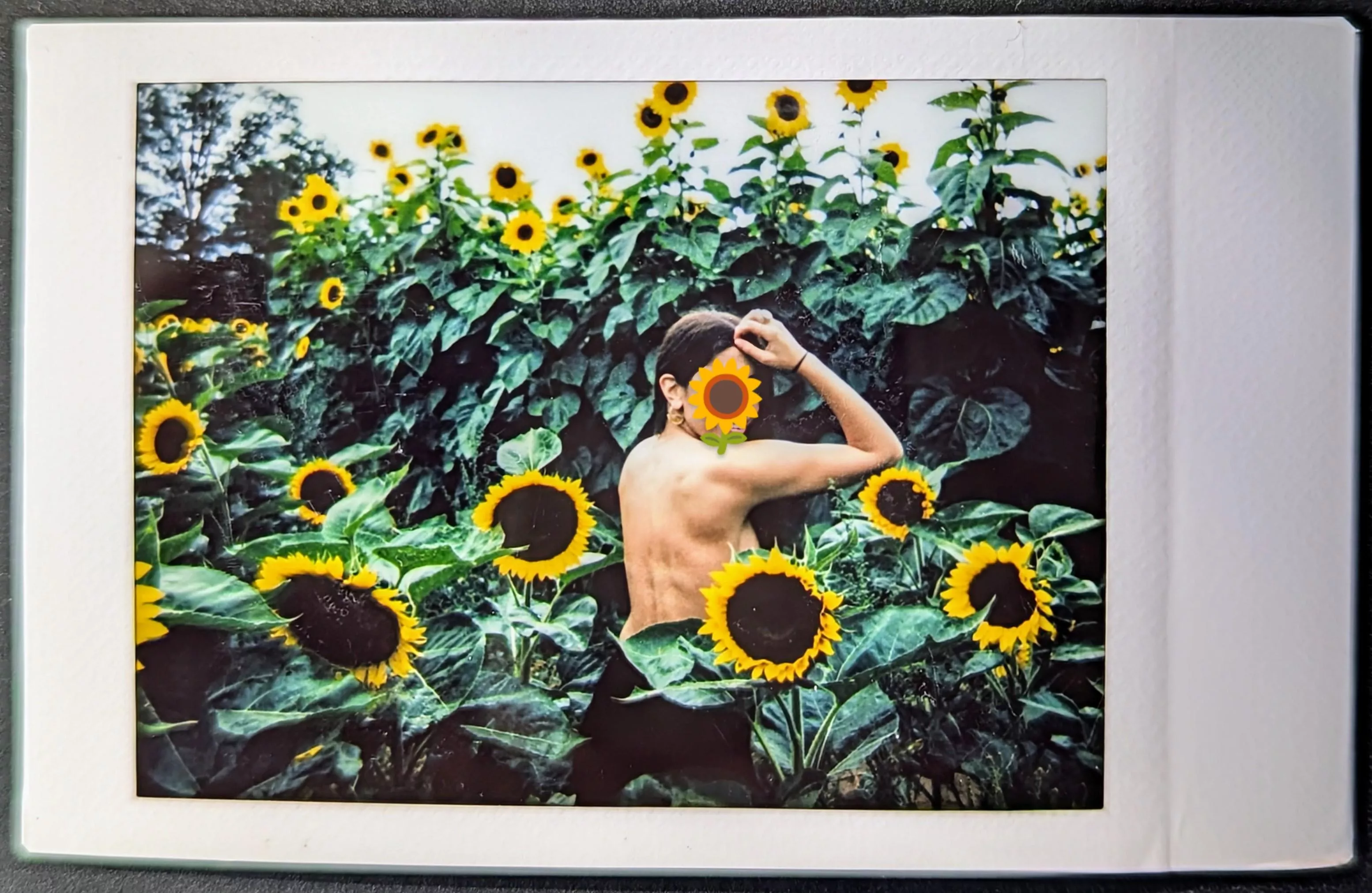 Keep your face to the sunshine and you cannot see the shadows. It's what sunflowers do.