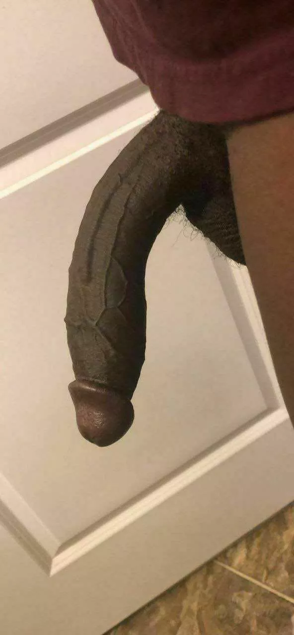 Lansing area bull dm me