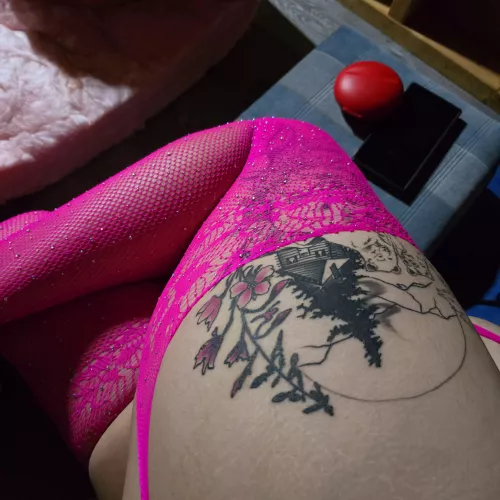 Looking for sugar mommi or daddi