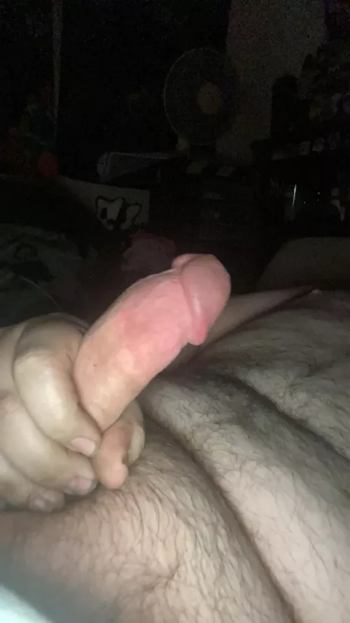 M19