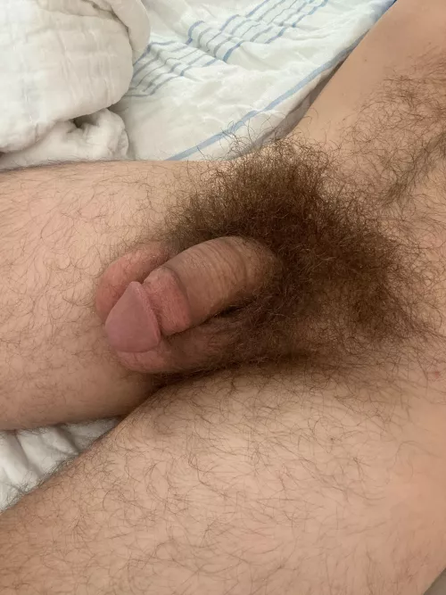 Morning musky bush. 😏 