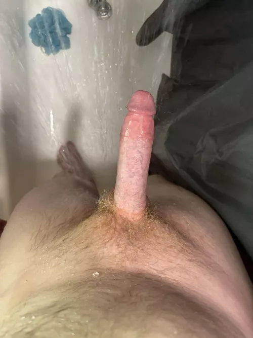 Mr. Red Bush checking in