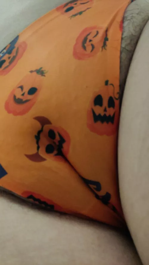 Pumpkin 🎃 season !!!! 