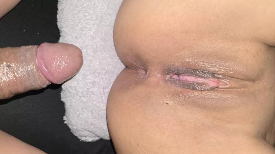 Pussy The Most Expensive Meal You'll Ever Eat🫢