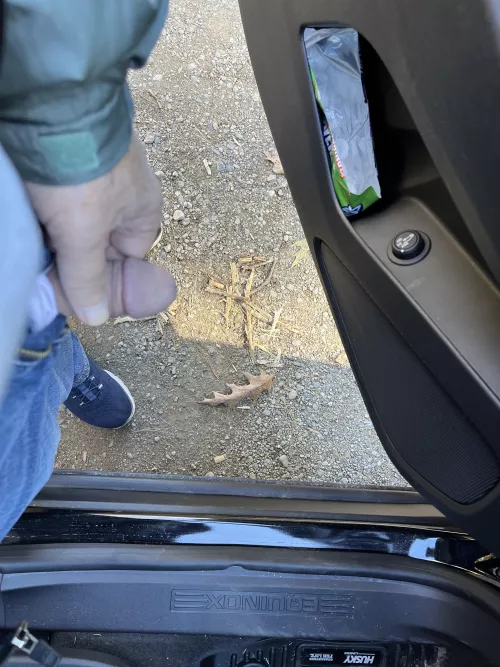 Rubbing one out in the parking lot 