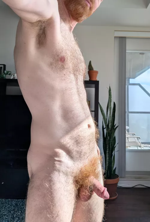 Run your hands through all my fur