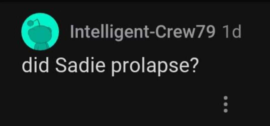 the kind of intellectual enigmas that are questioned at the other university