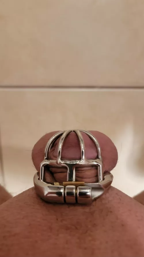 This month is my favorite month 😌