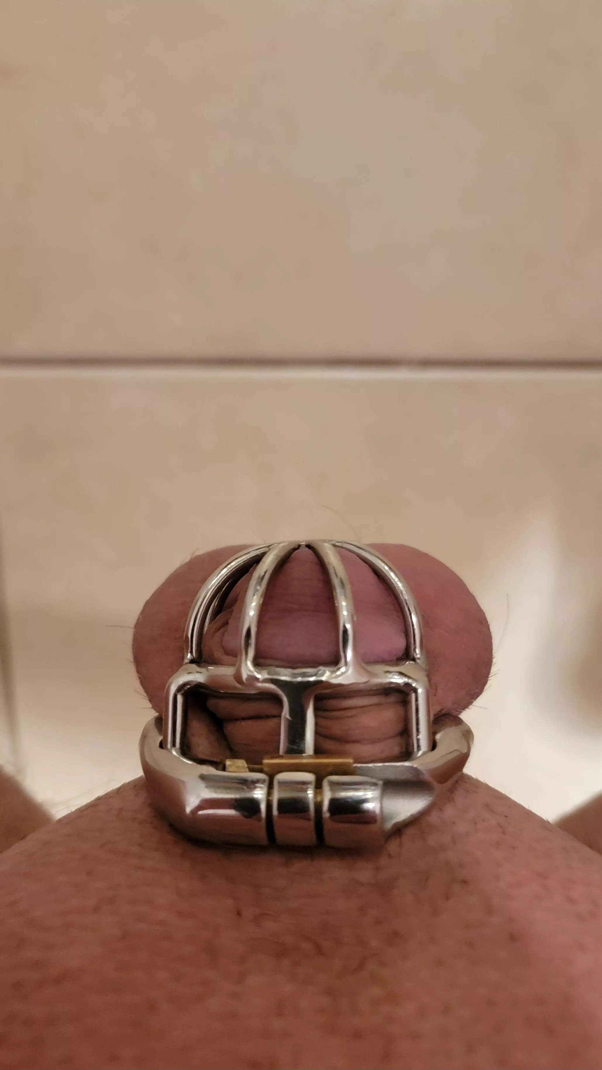 This month is my favorite month 😌