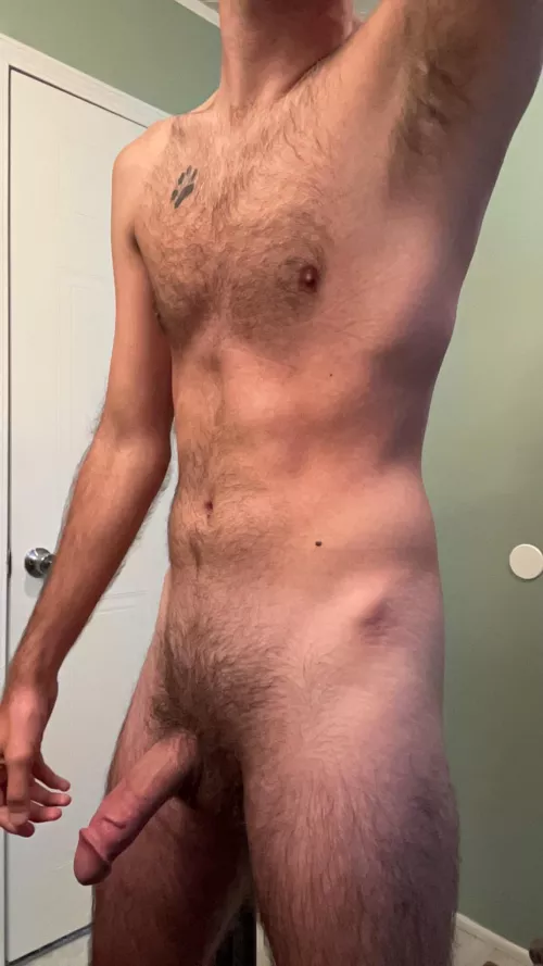 What do you want to sniff first?