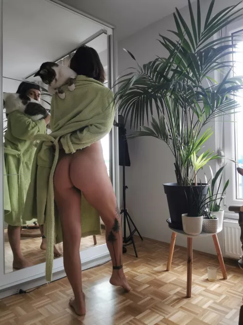 What does the cat say