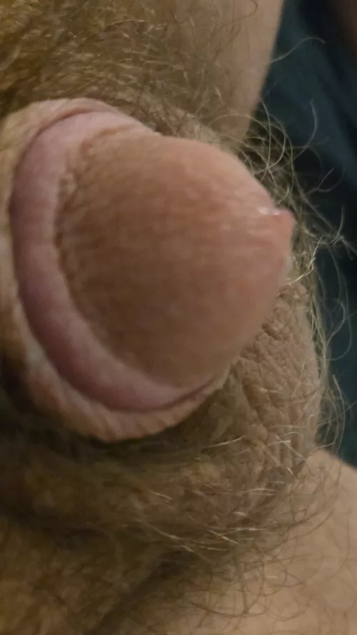 Where do have you had outdoor sex around Eau Claire? M43