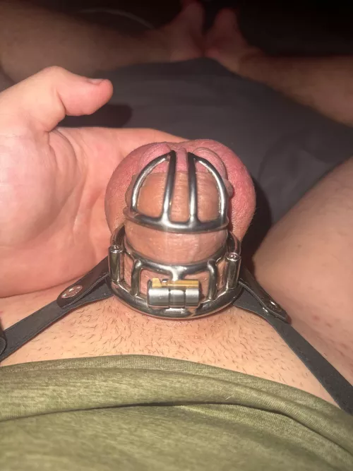 Where I’ll be for the next six weeks at least 😊